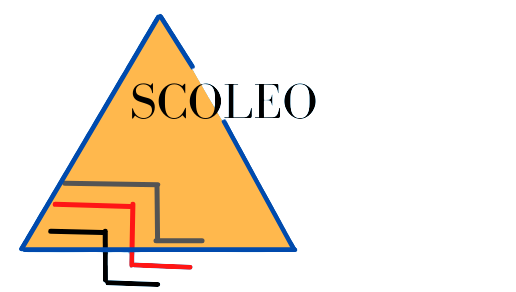 Scoleo Consulting Pvt Ltd 